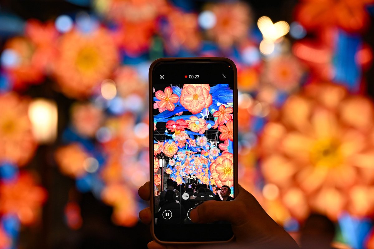 Discover a sea of flowers at night in #Nanjing's Qinhuai Lantern Fair!
#BeautifulJiangsu #ChinaStyle