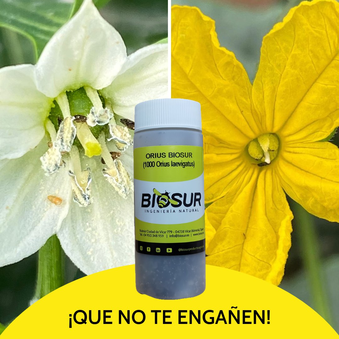 Biosur Productos Agrícolas tweet media