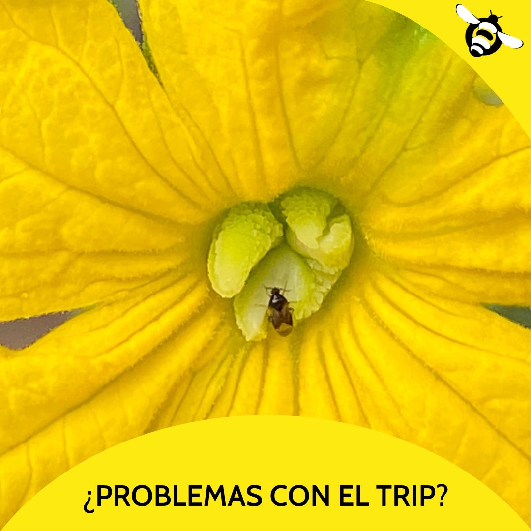 Biosur Productos Agrícolas tweet media
