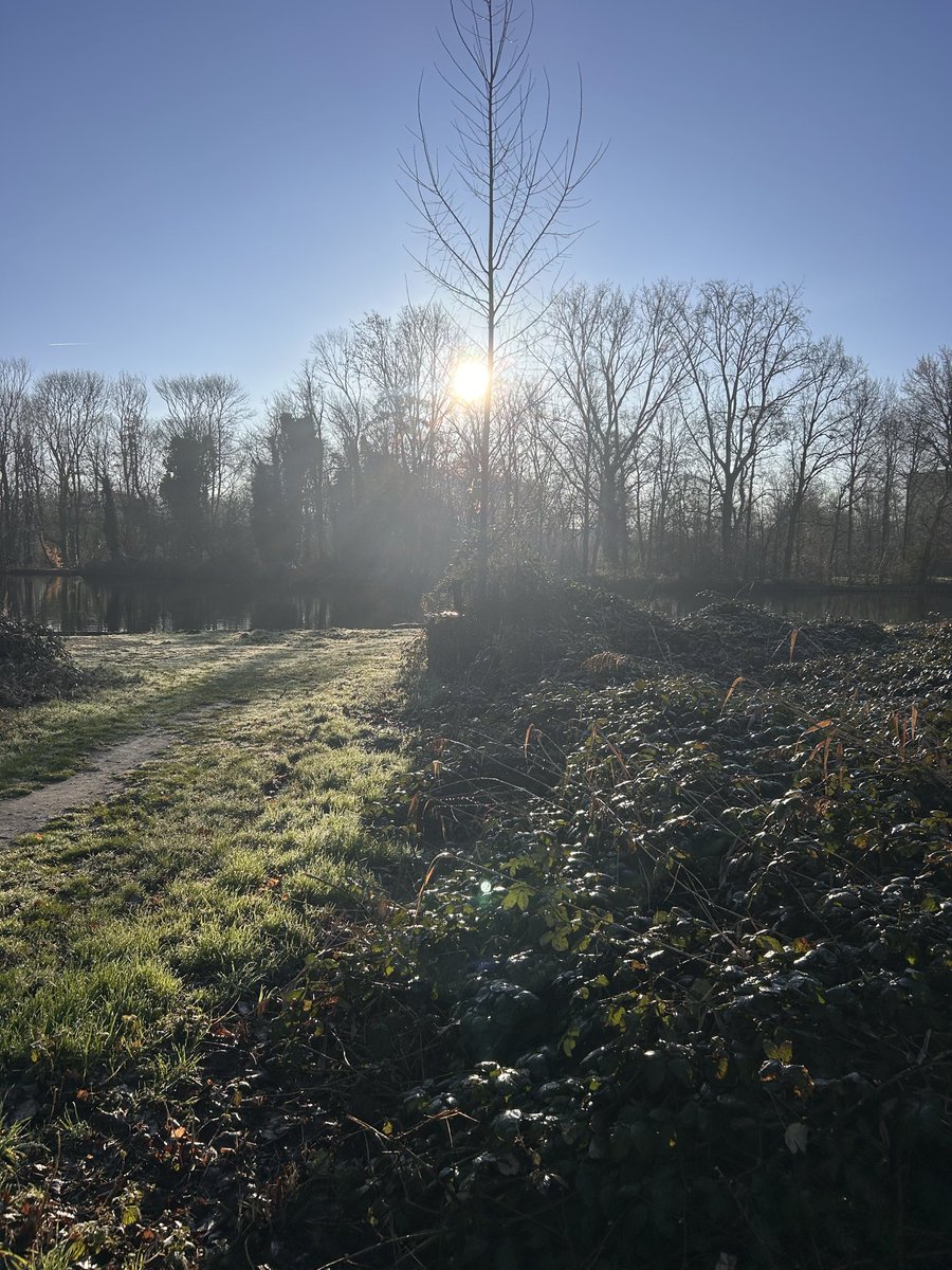 Ochtendwandeling in het Beatrixpark Schiedam 😎👍🏻