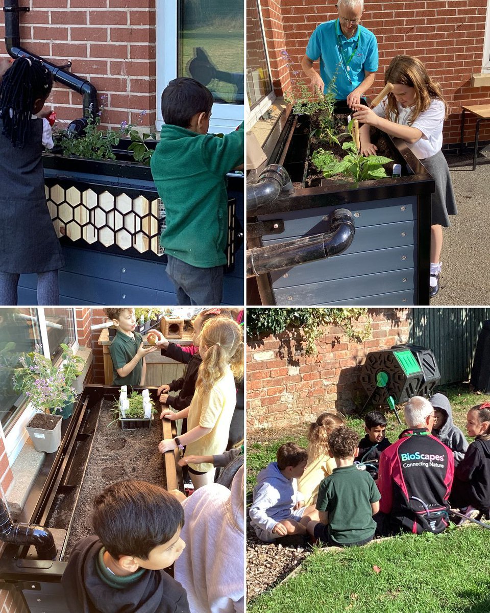 Rise Multi Academy Trust tweet media