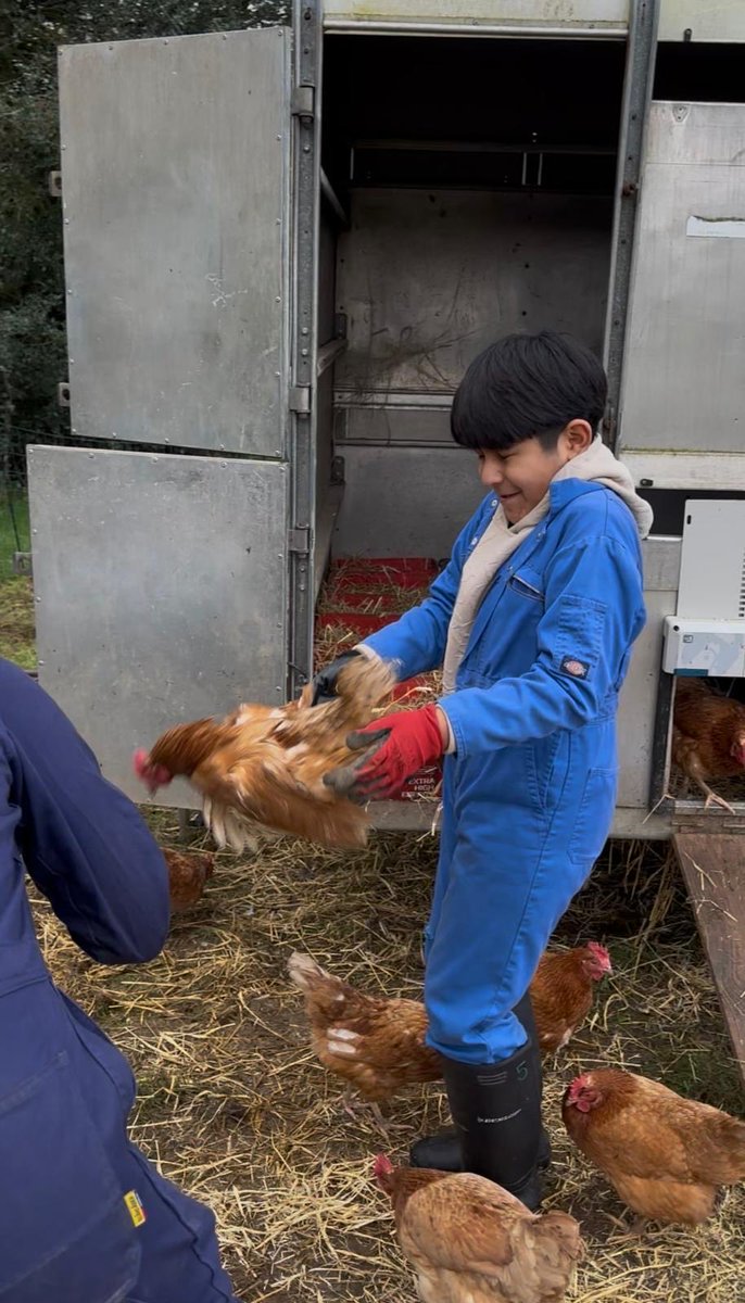 John Burns Primary tweet media