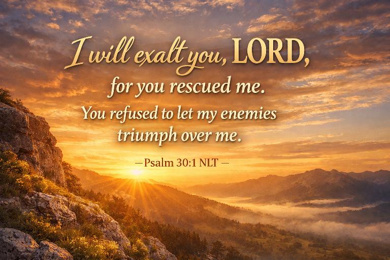 Tom Rasoki tweet media