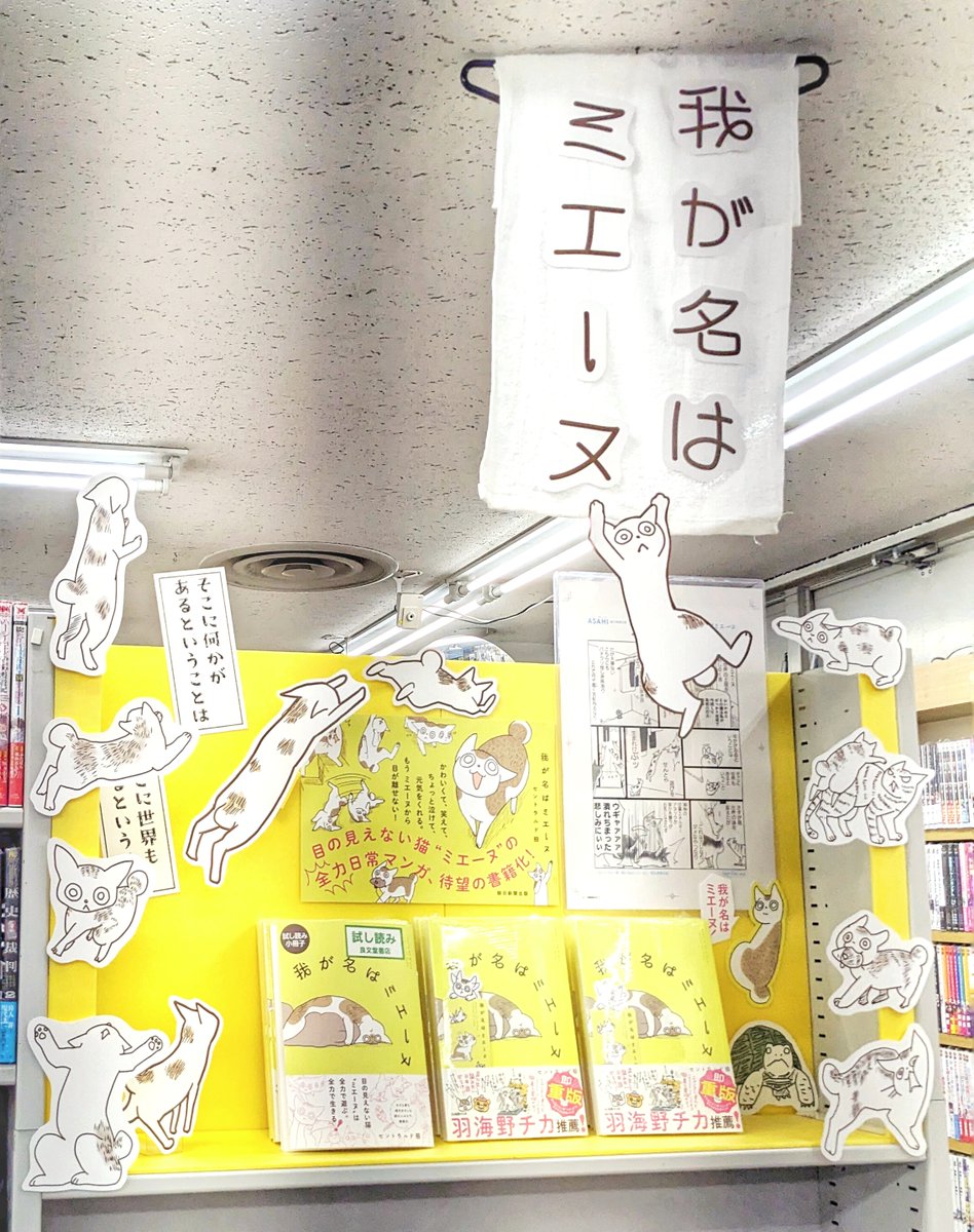 我が名はミエーヌ』発売中 (@waganahamienu) / X