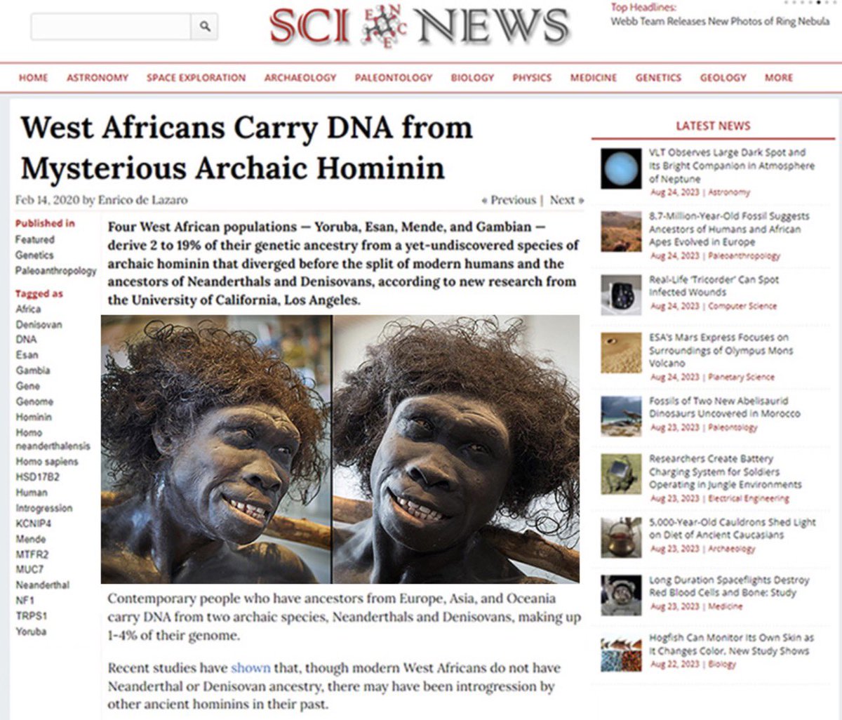 ModerCavemanTraveler tweet media