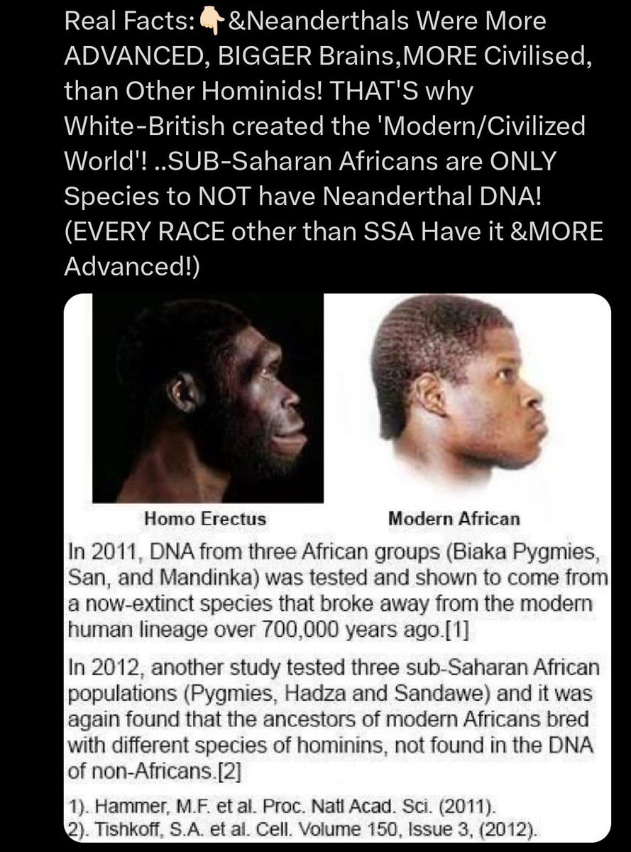 ModerCavemanTraveler tweet media