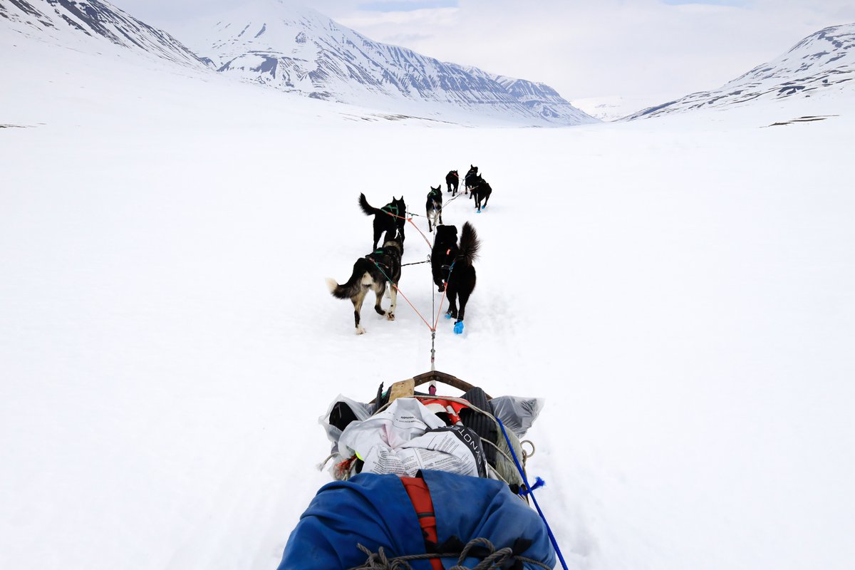 林 祐介写真展「Svalbard78°～」 ～北極圏犬橇350キロの旅～ 凍てつく
