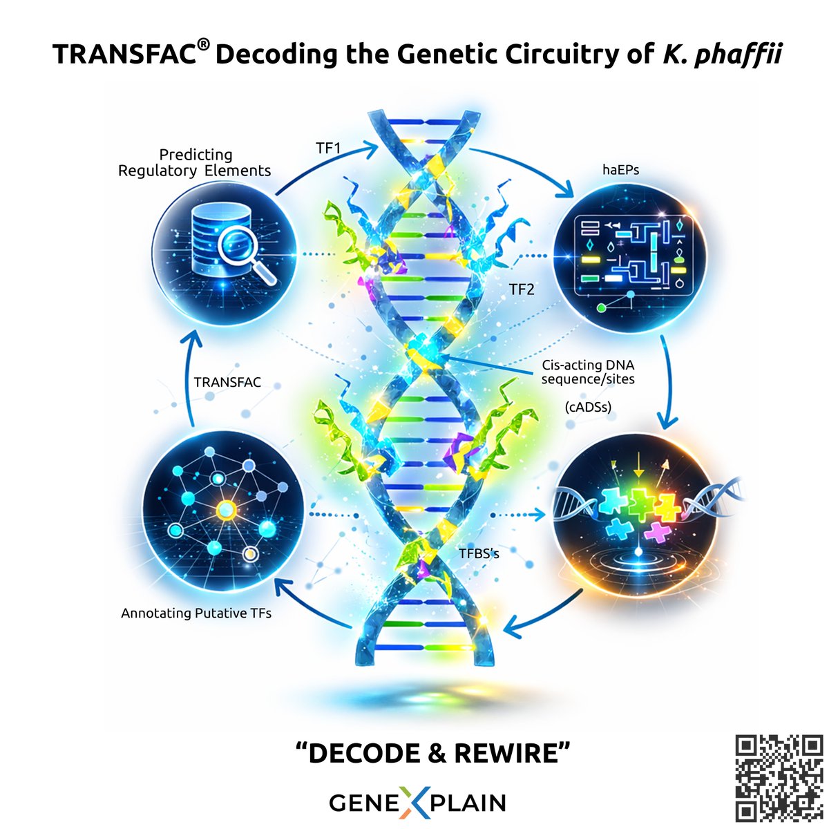 geneXplain GmbH tweet media