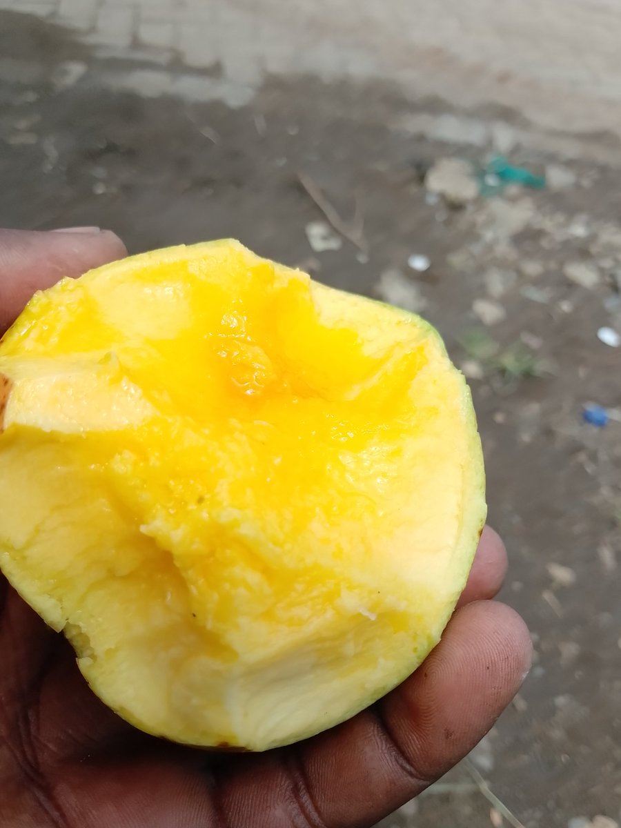 How good is your iphone camera,mine iphone 20 pro max