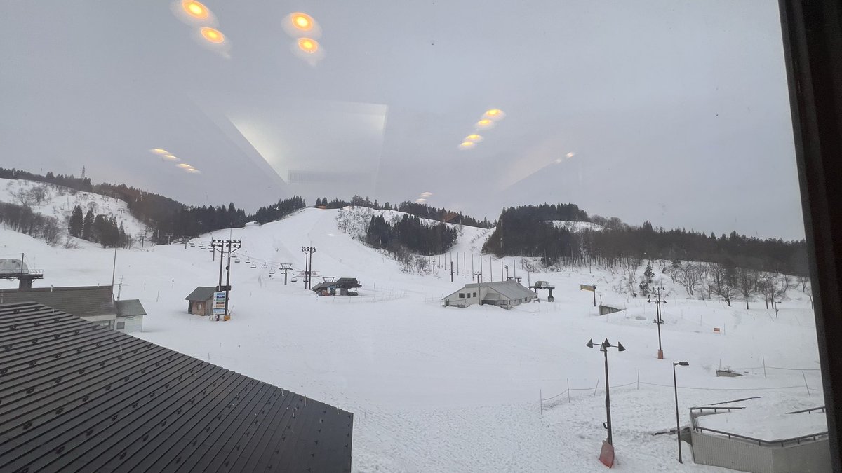 Lさんのさぶ tweet media