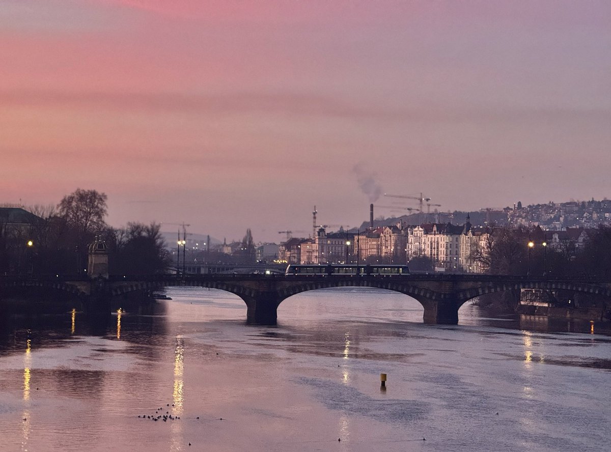 shiner_sam tweet media