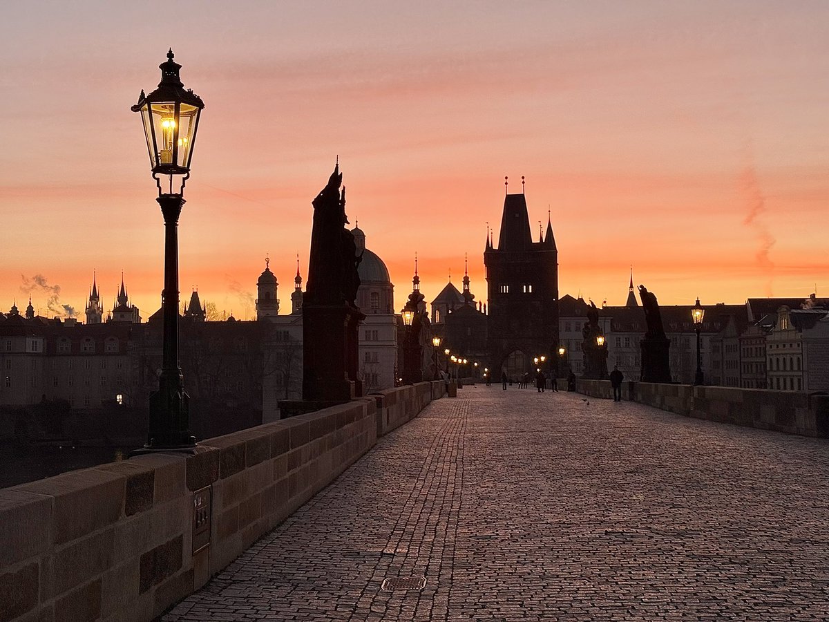 shiner_sam tweet media