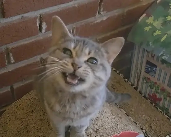 look at bro 

so cute

$dopey