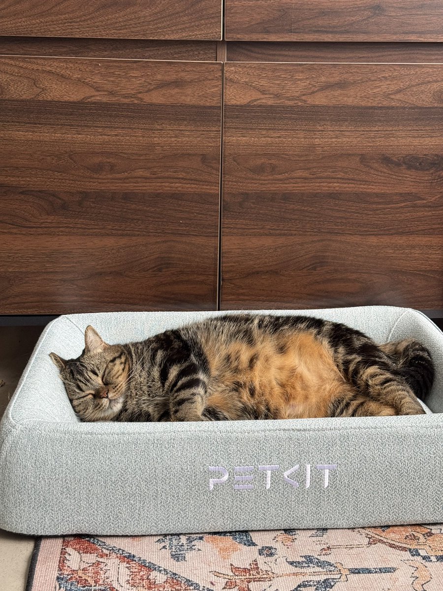 tak puasa tapi bobonya paling kuat 🤧☝️