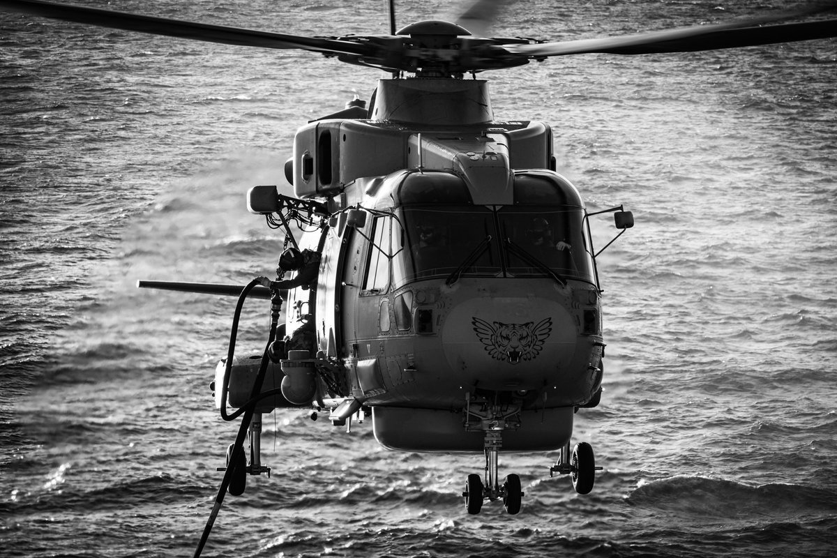 RFA Tidespring tweet media