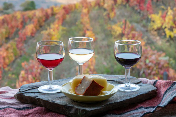 dmanso73's tweet image. Cuando viajar a la cultura del vino divierte, emociona y enriquece
▶️ Qué es el enoturismo?
bbva.com/es/sostenibili…
#enoturismo #viajar