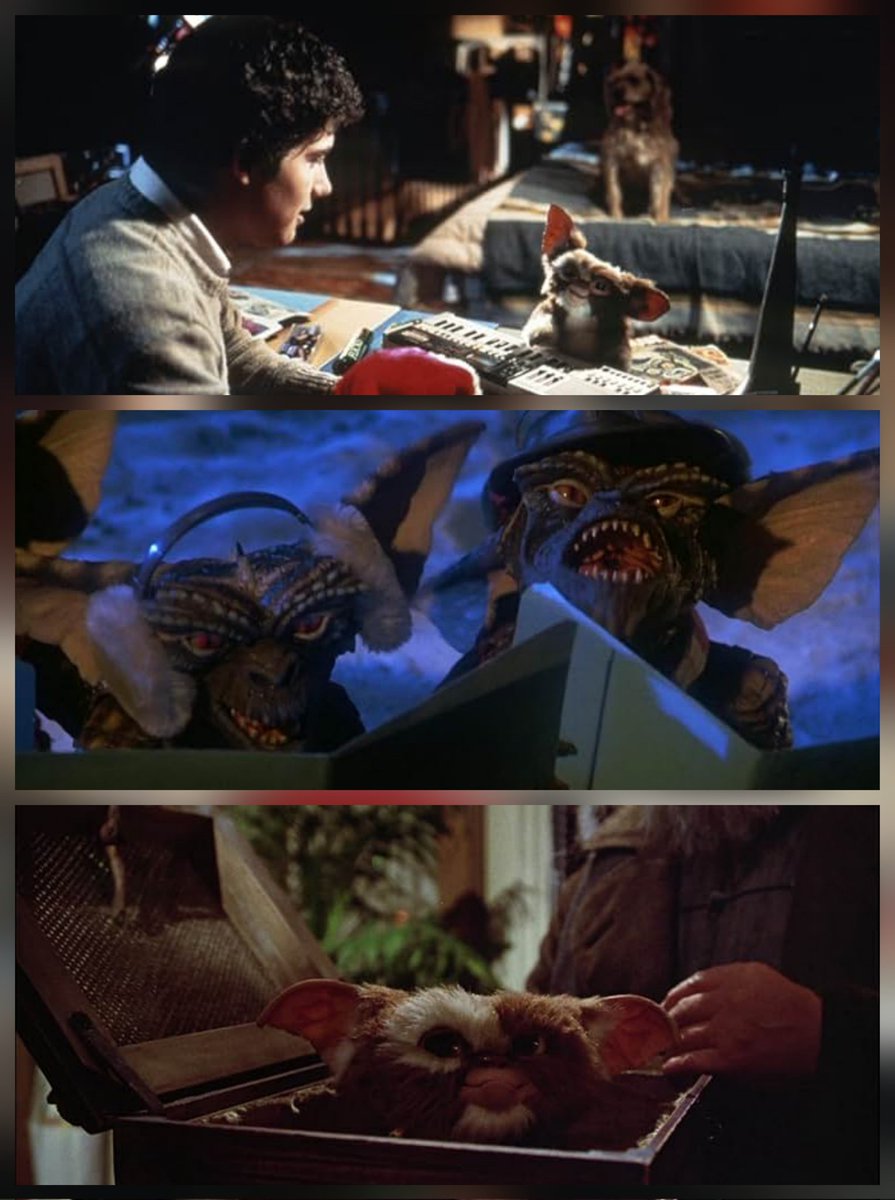 TallyMichelle4's tweet photo. #RandomMoviePic
#Gremlins (1984) https://t.co/lxV0Qni7aC
