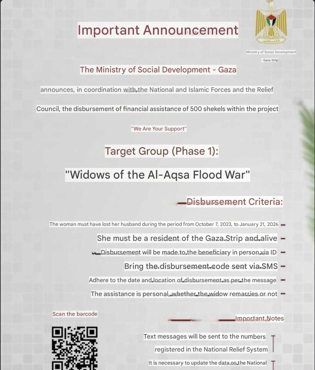 Muhammad Shehada tweet media