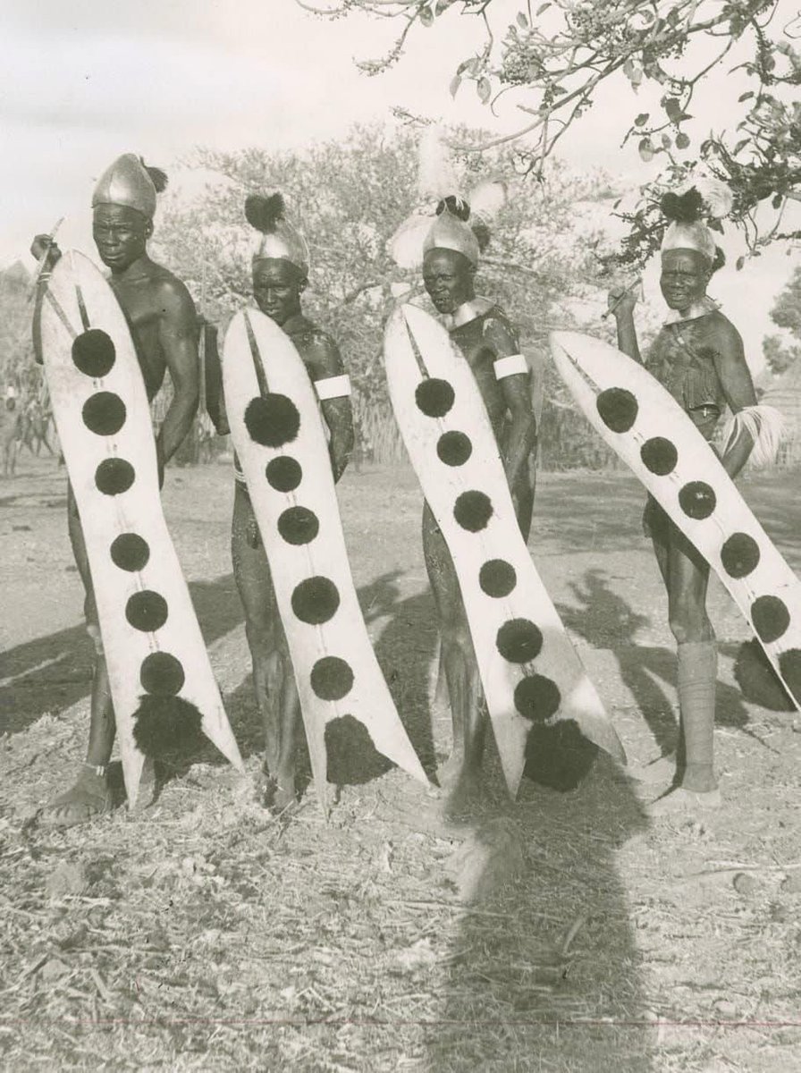 Joseph Africano Bartel tweet media