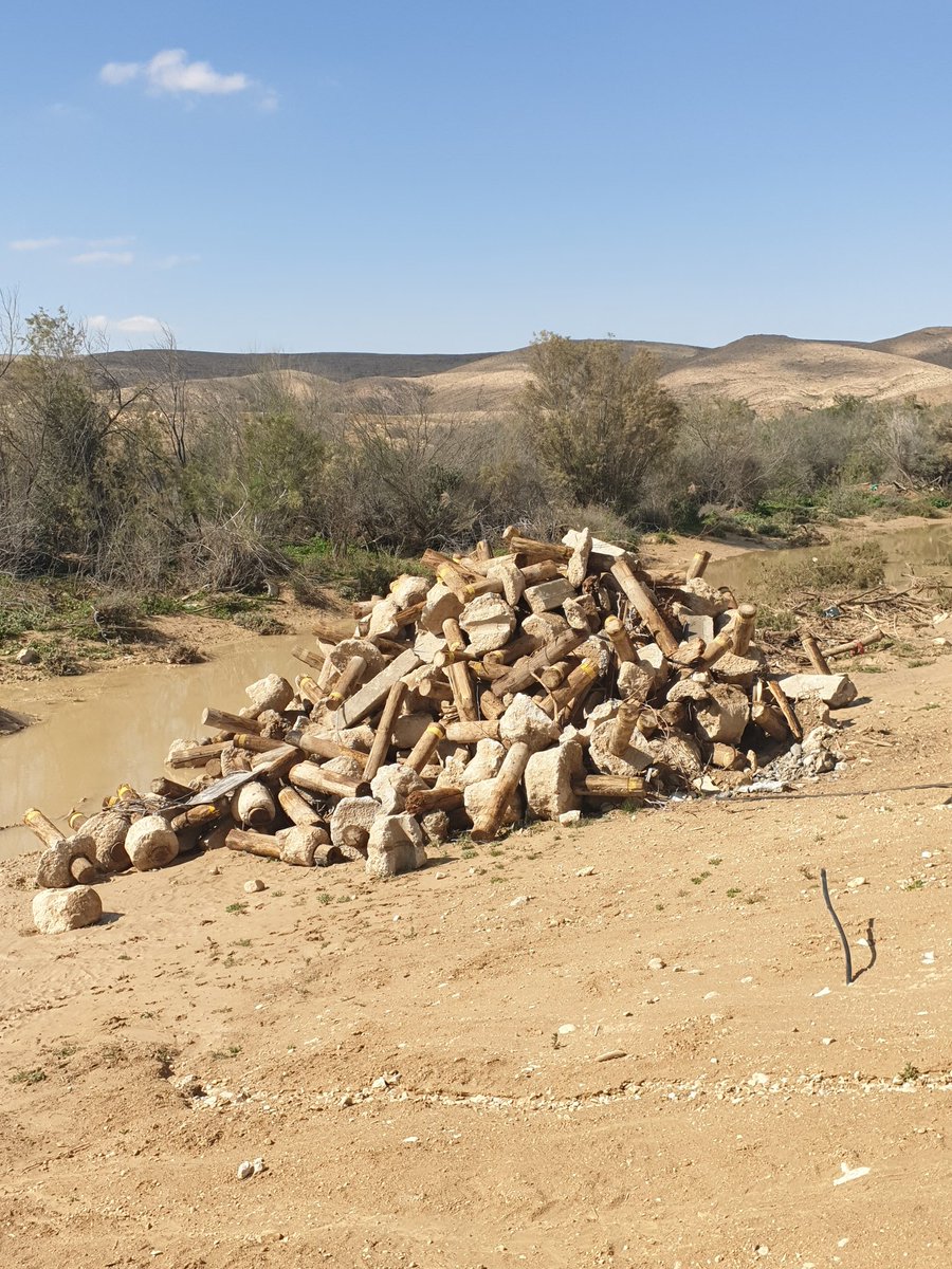 Meni Adler tweet media