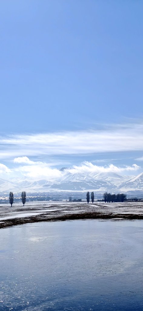 "Hakikat direnen bir zihne zorla girmez. Eğer evrendeki her yer Alef'in içindeyse, o za­man bütün yıldızlar, bütün lambalar, bütün ışık kaynakları da içindedir."

Jorge Luis Borges / Alef