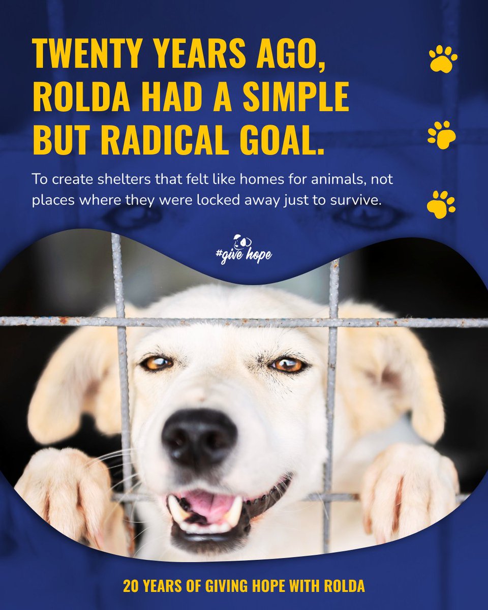 ROLDA Org tweet media