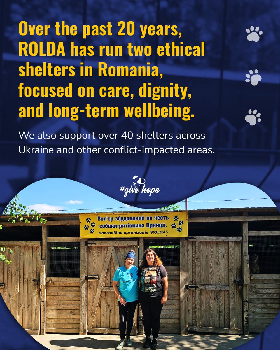 ROLDA Org tweet media