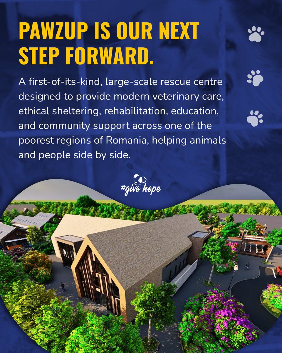 ROLDA Org tweet media