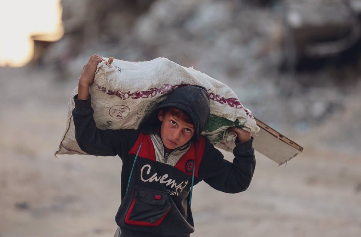 “hєr kαzαnç tєmíz dєğíldír,
kαчвєdєlím ínsαn kαlırız…”