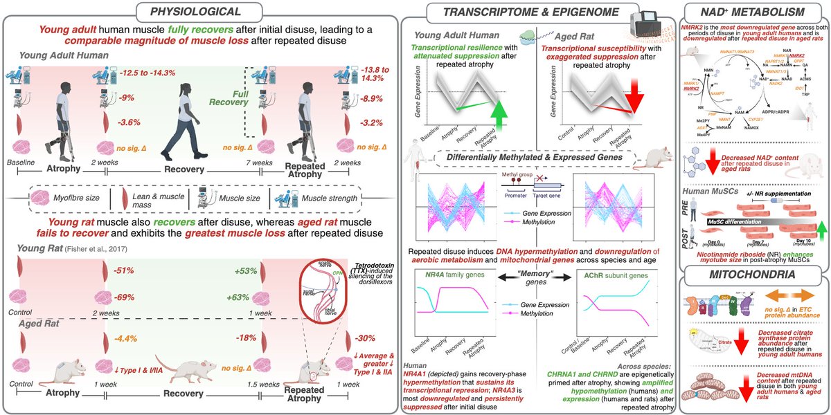 Adam Sharples Ph.D -Blue Sky🦋@profadamsharples tweet media