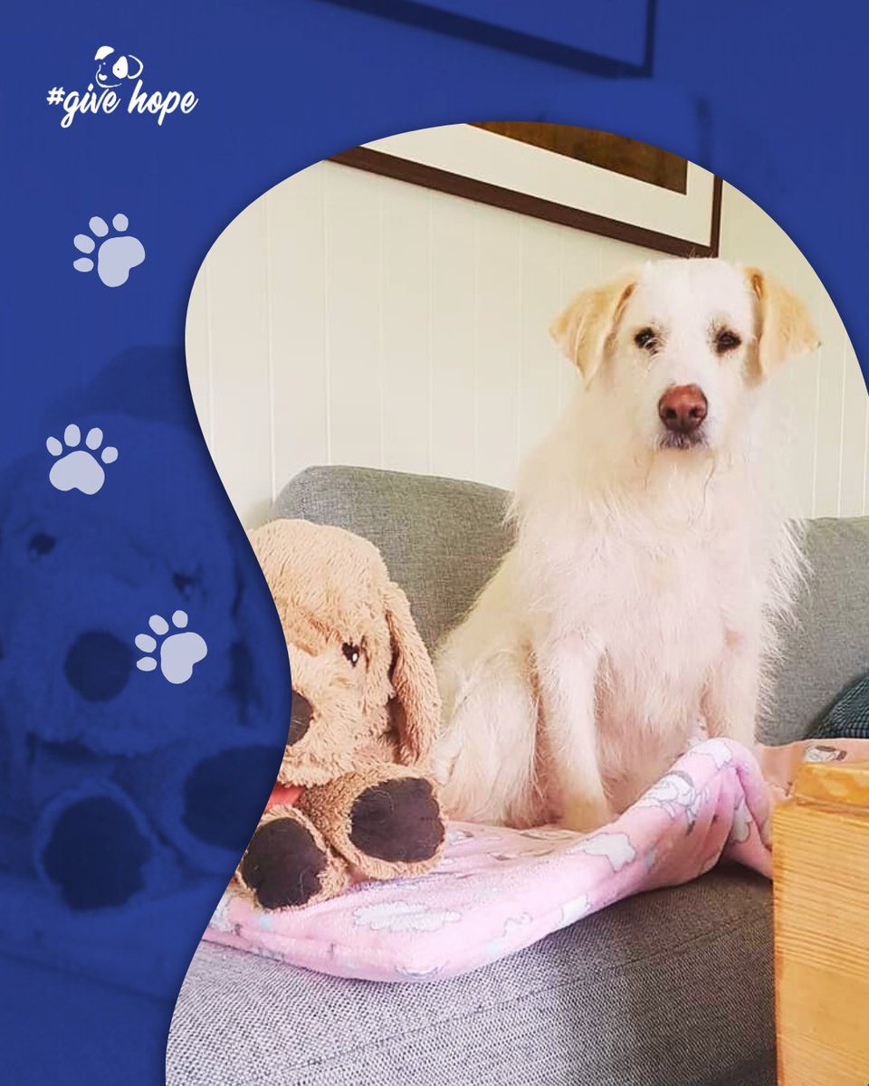 ROLDA Org tweet media