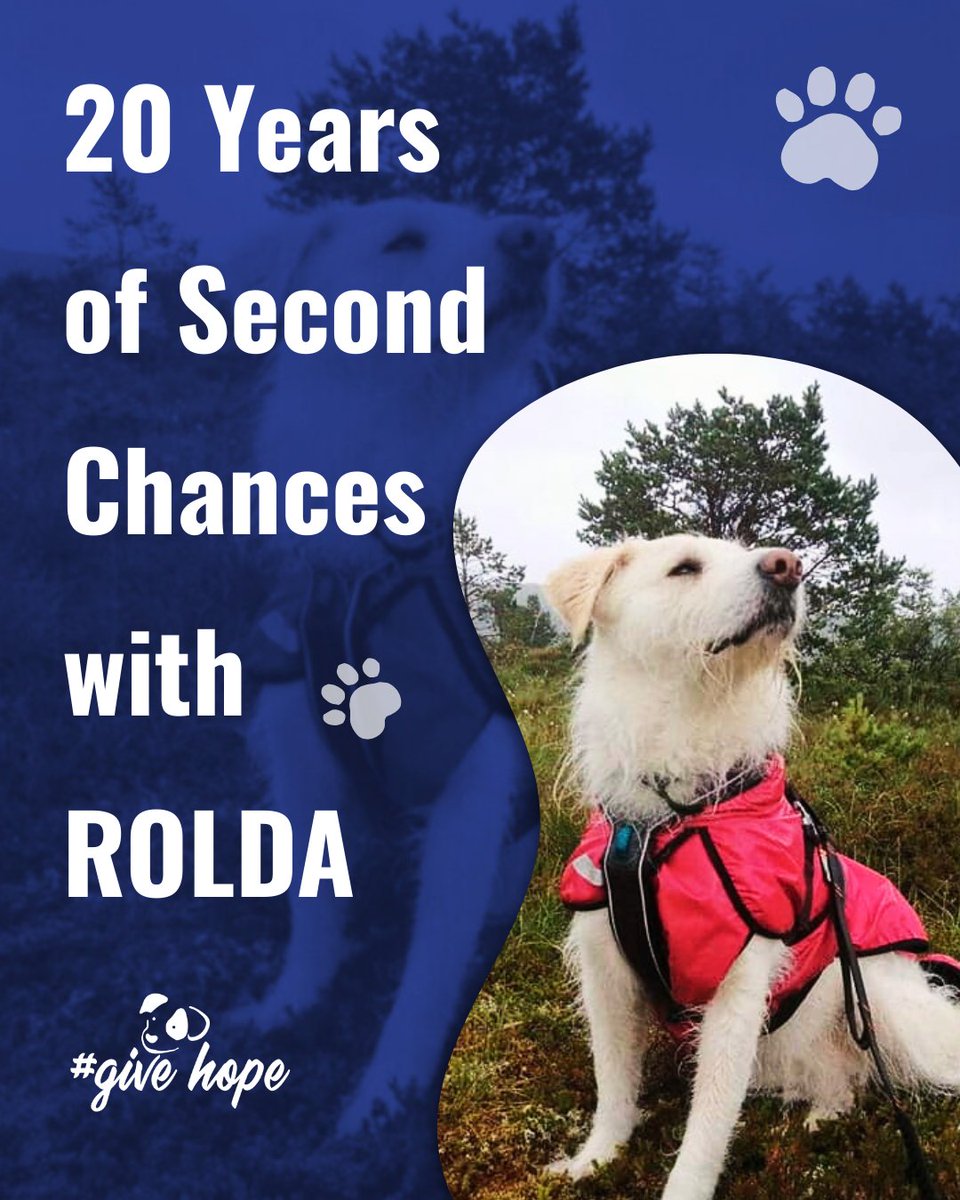 ROLDA Org tweet media