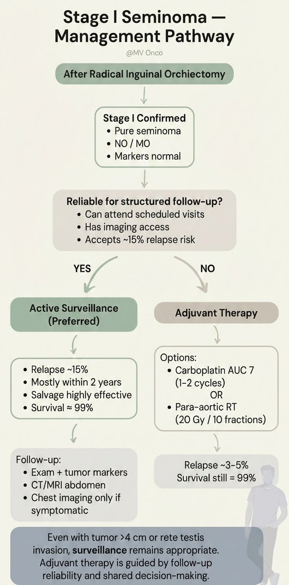 Stage I seminoma after orchiectomy 👇
✔ Reliable follow-up → Active surveillance (preferred)
~15% relapse, salvage effective, survival ≈99%
❌ Not reliable → Carboplatin or RT
Choice = follow-up reliability.
#MVOnco #TesticularCancer  #GUOncology