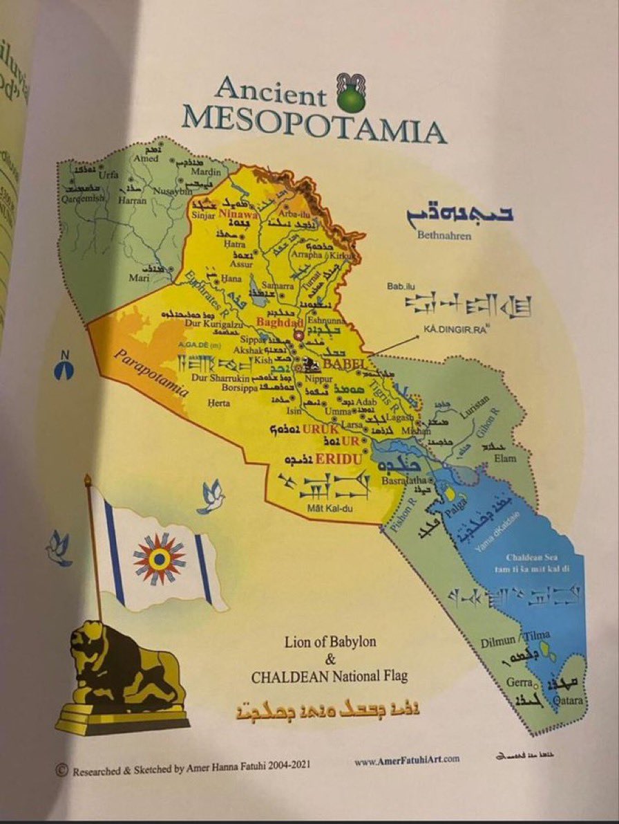 قصيّ محبوبة tweet media