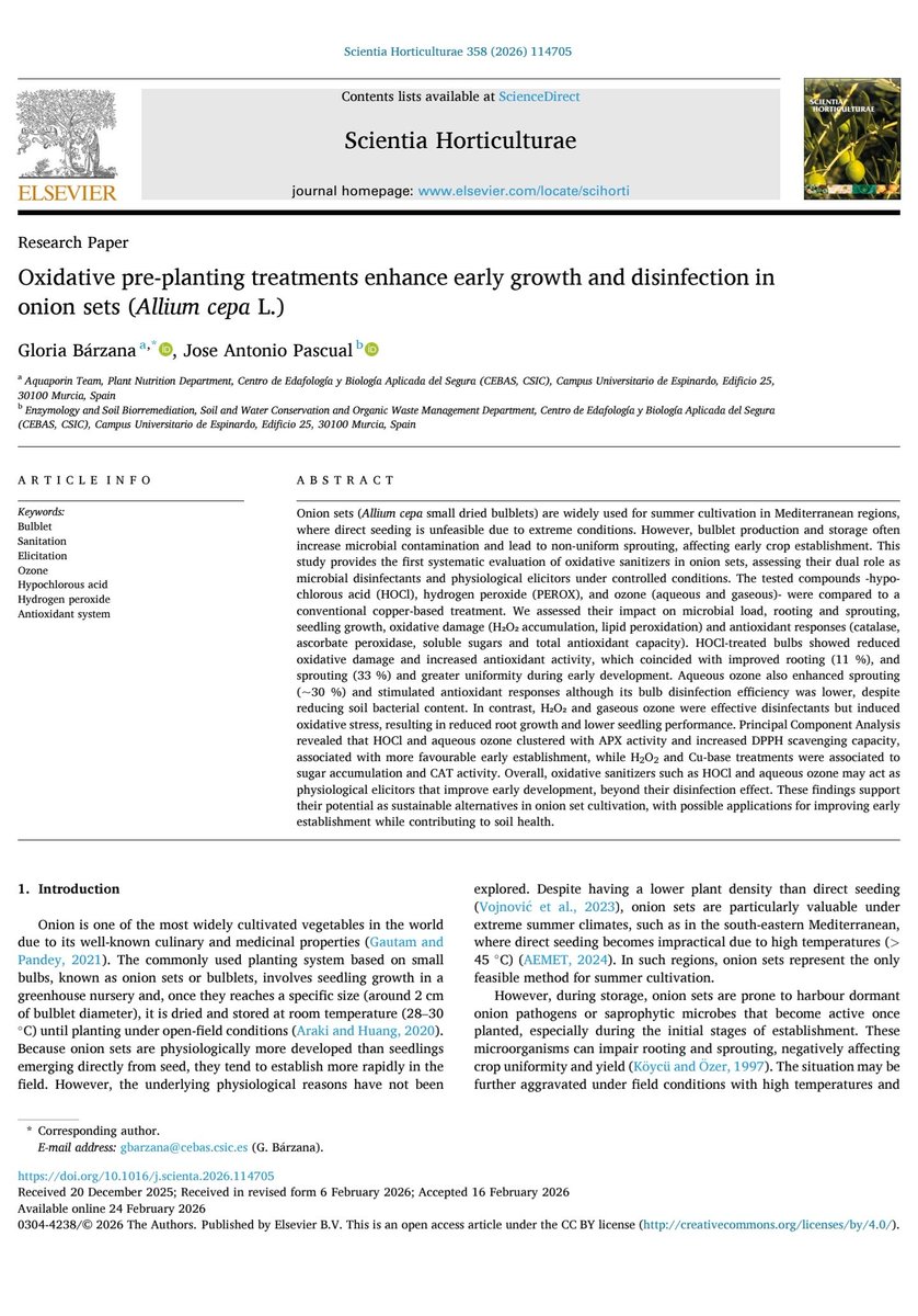 New Paper 📋 "Oxidative pre-planting treatments enhance early growth and disinfection in onion sets (Allium cepa L.)" By Gloria Barzana in collaboration with Biorremediation, Soil and Water Conservation and Organic Waste Management Department, Jose Antonio Pascual.