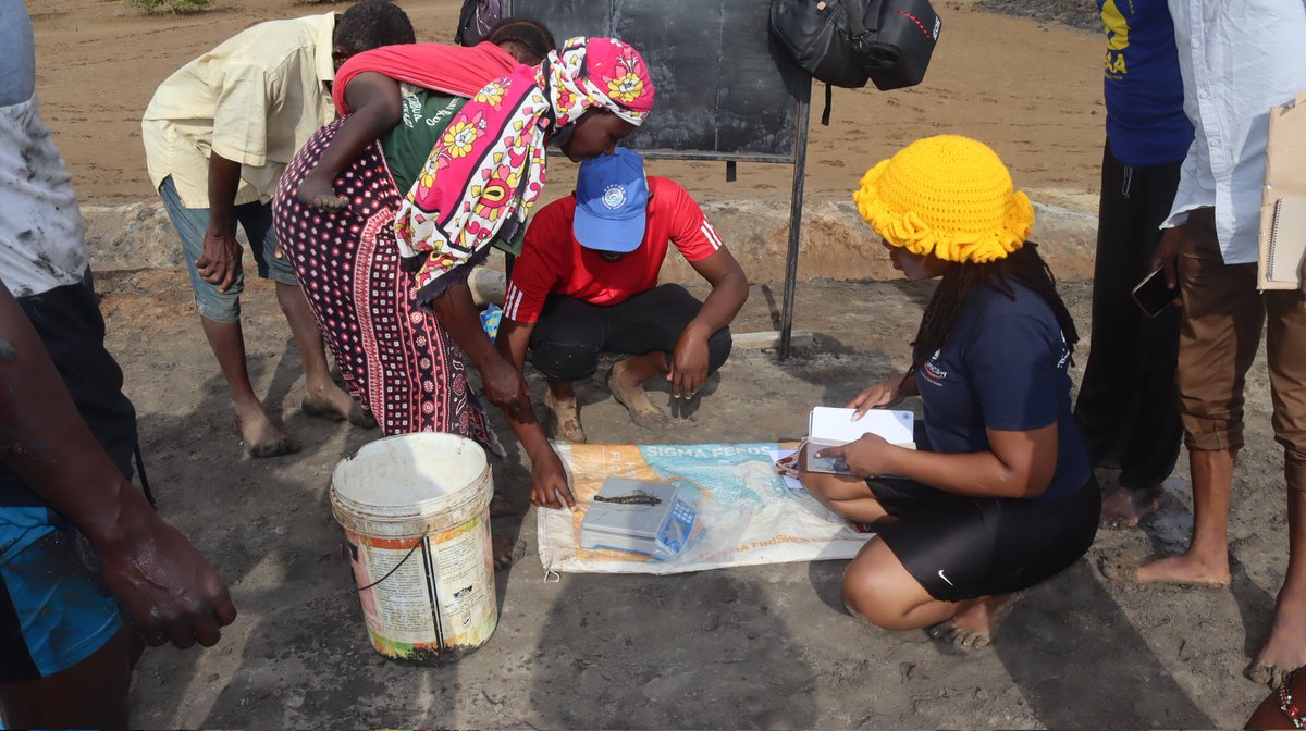 BlueEconomy003's tweet photo. The groups have constructed two modern fish ponds each and adopted improved mariculture practices to boost prawn and milkfish production.

The exercise helps track growth rates, productivity, and overall pond performance, ensuring farmers are on course for higher yields. https://t.co/icCGEWWIrH