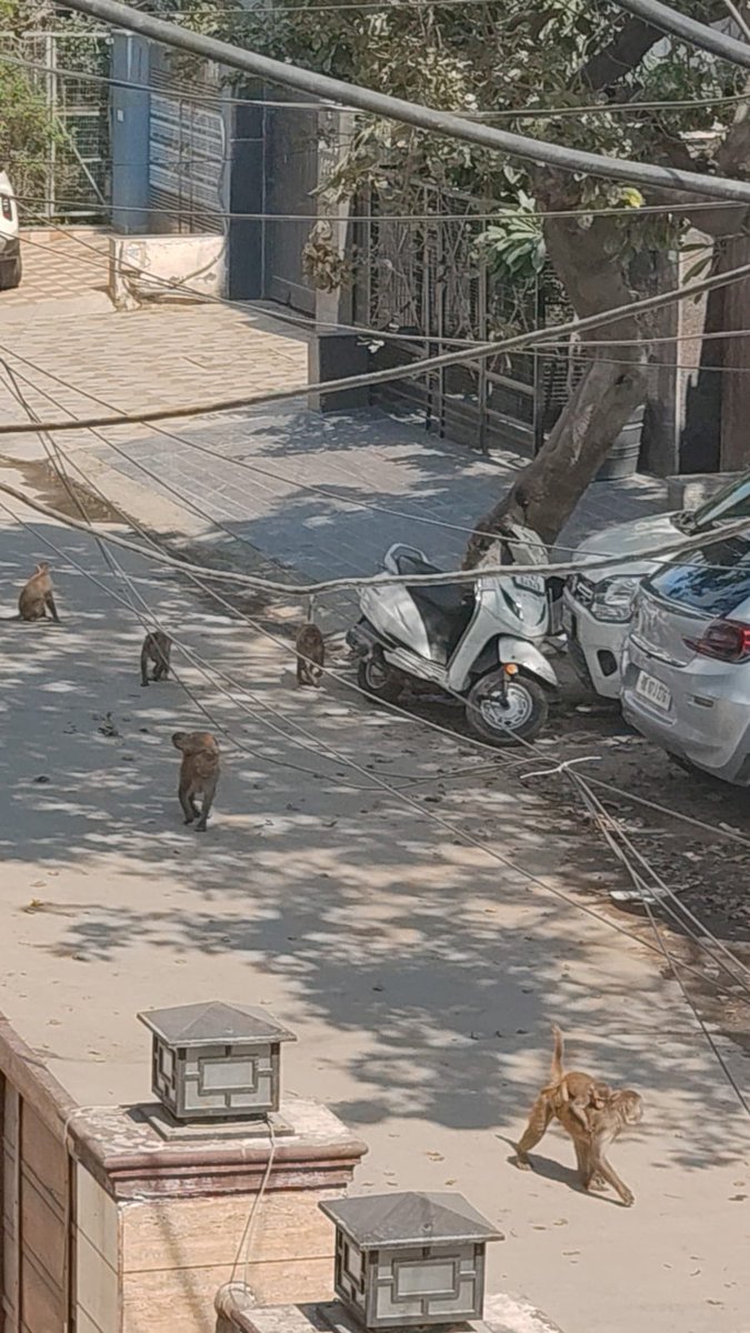 Megha Goel tweet media