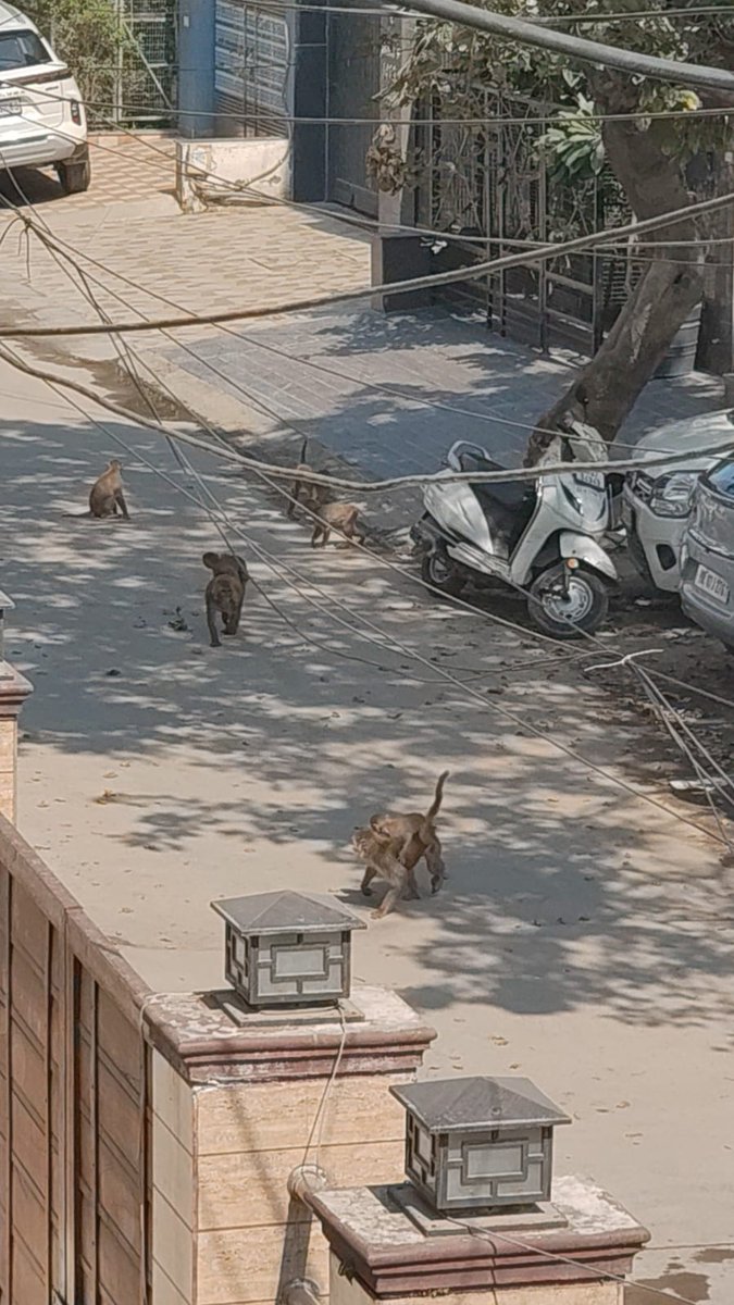 Megha Goel tweet media