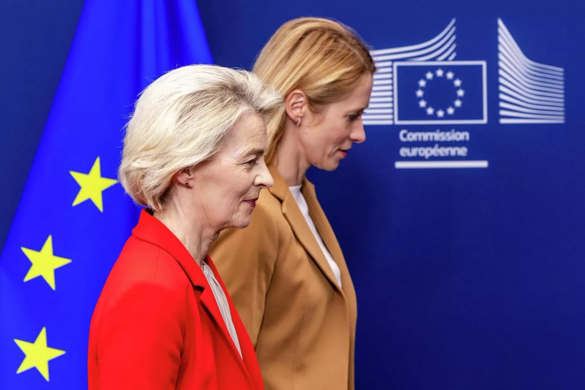 ⚜️ Mariba 👑 tweet media