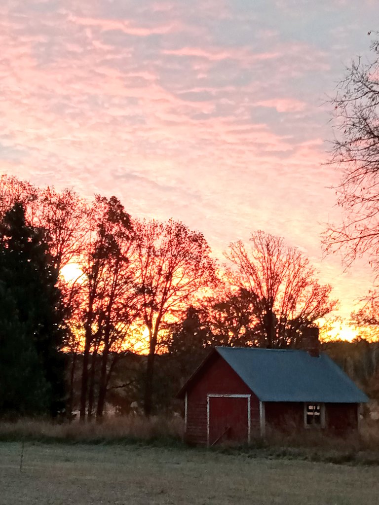 RGraysee909 🐕‍🦺🐾🌹 (@graysee909) on Twitter photo 