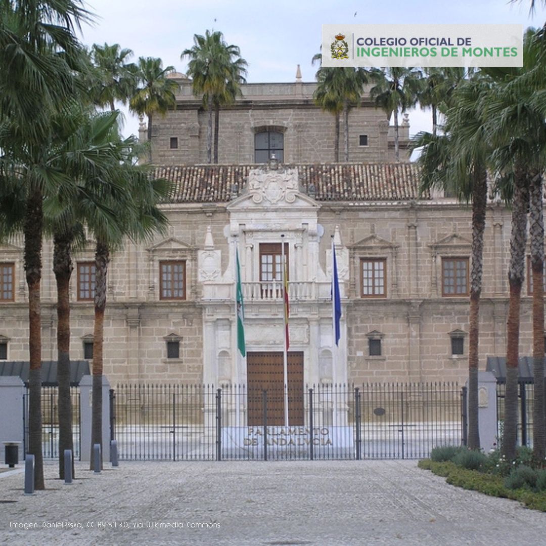 Ingeniería de Montes tweet media