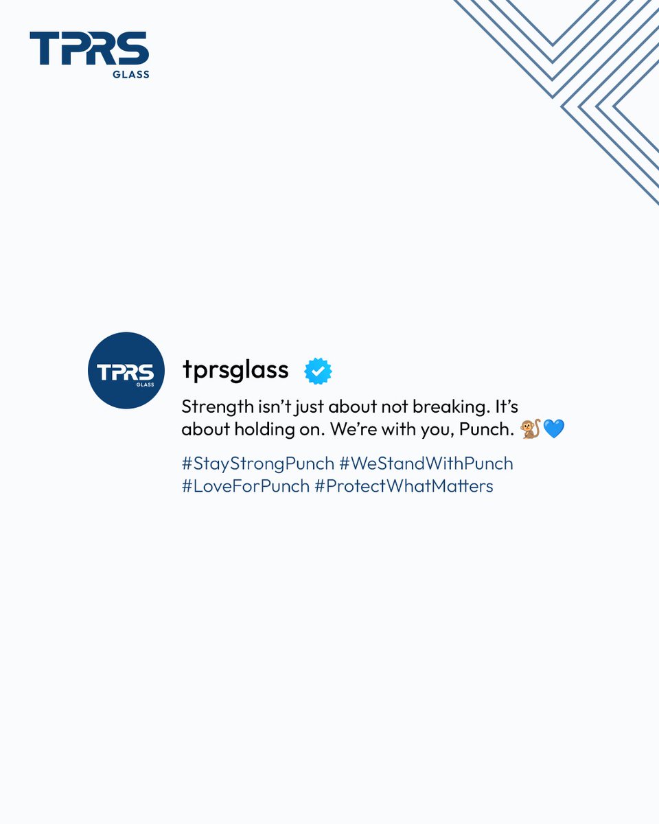 TprsGlass's tweet photo. Some bonds don’t shatter under pressure. They hold. They stay. They protect. With you, Punch 🐾💙

#LoveForPunch #StayStrongPunch #StrengthThatCares https://t.co/Rhwa00LYrC
