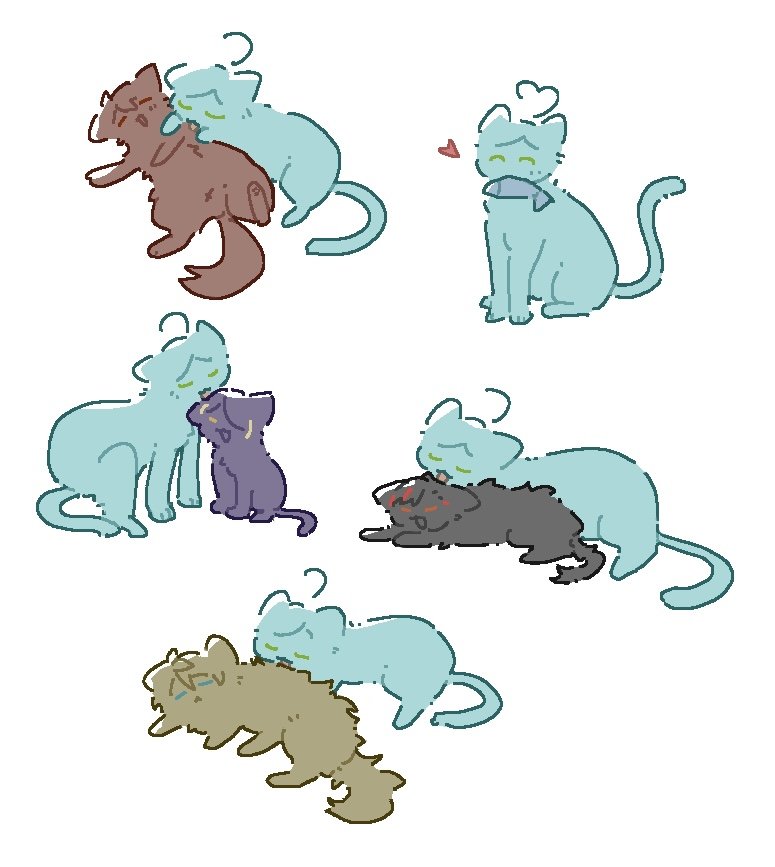 流星🐱 #流星隊