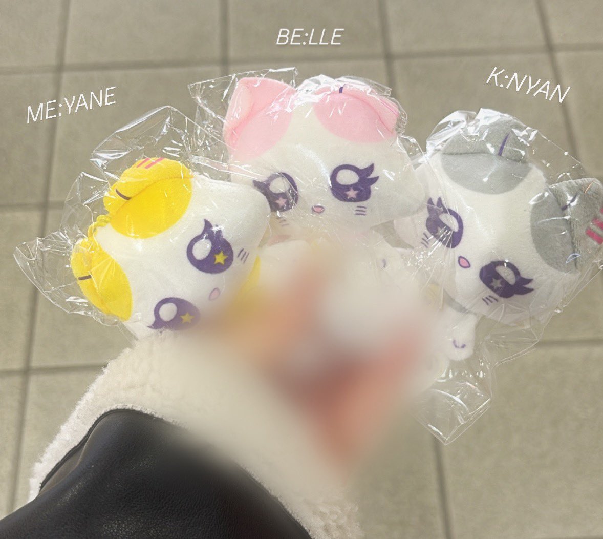 くるみっち🥥💜(心菜の命名) tweet media