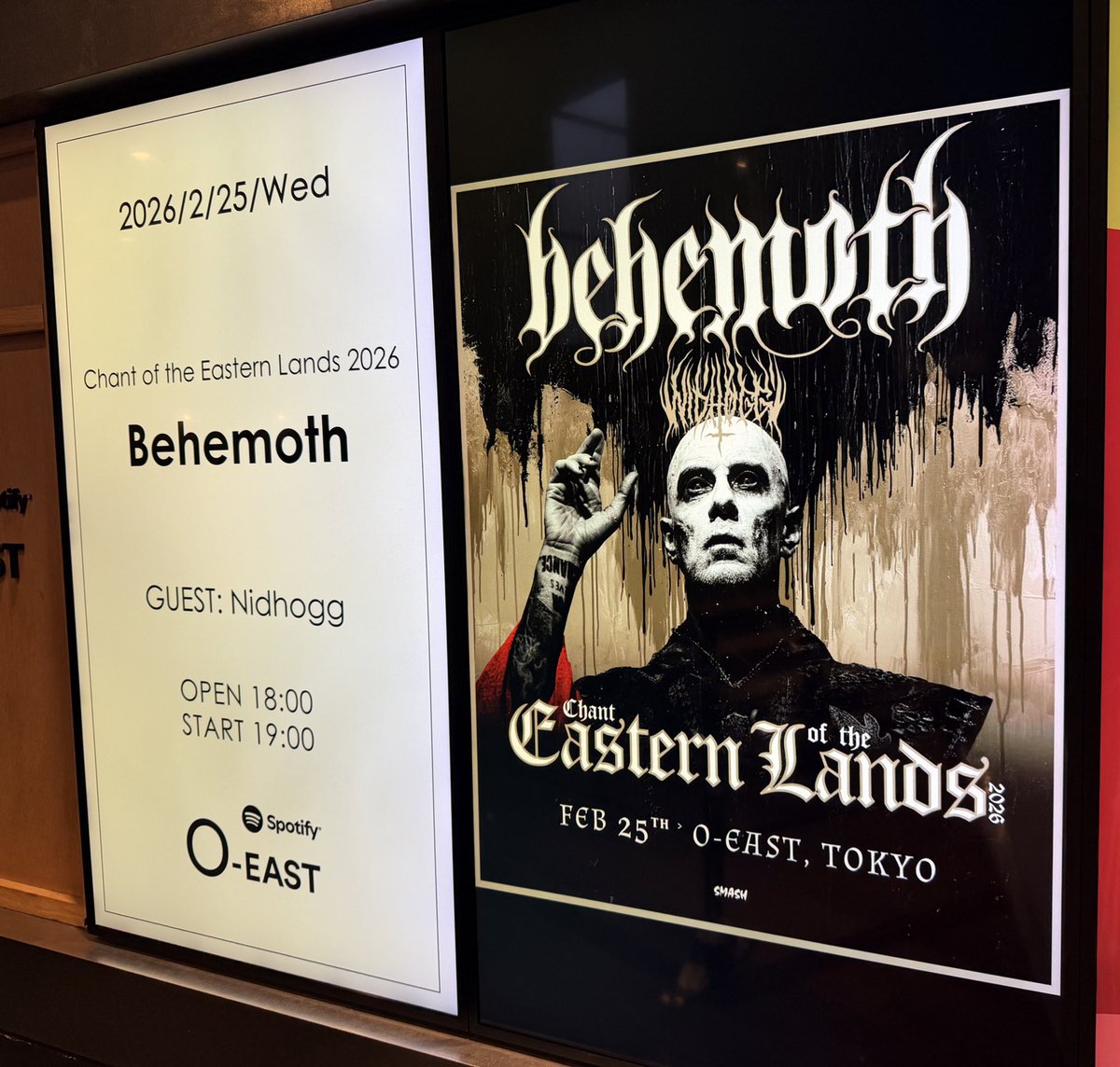 いかちゃん (@squid_yht_xxx17) / Posts / X