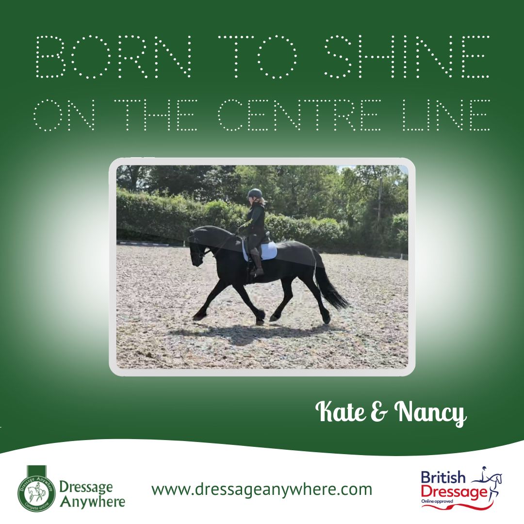 Dressage Anywhere tweet media