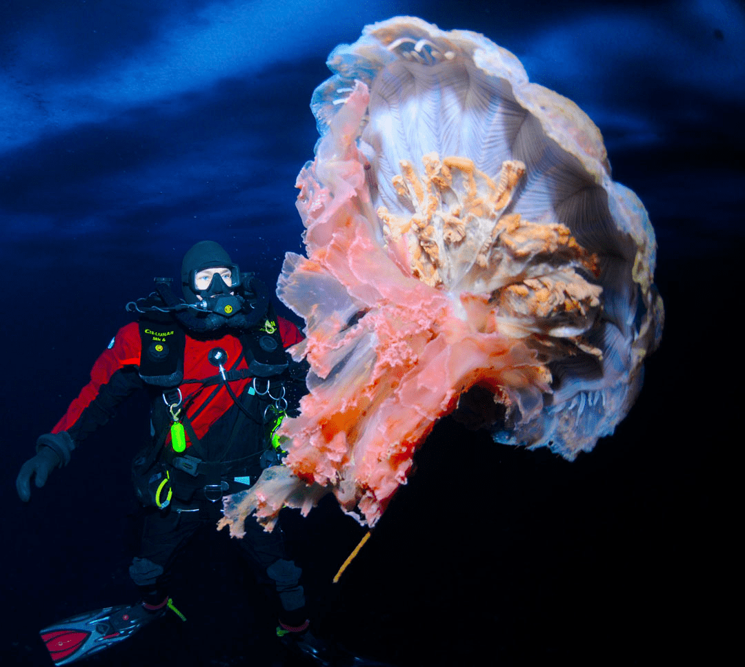 InDEPTH Magazine tweet media