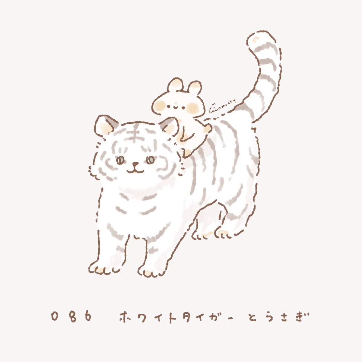 ホワイトタイガーとうさぎ