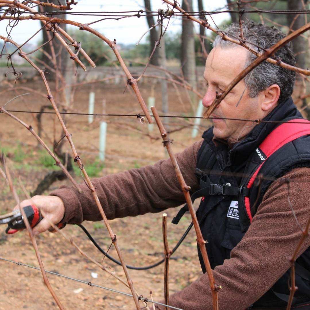 Avgvstvs Forvm tweet media