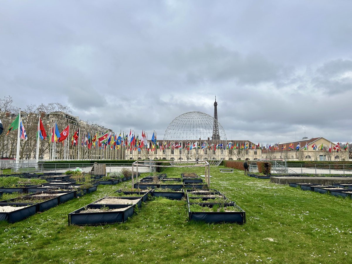 Albert Barqué-Duran tweet media